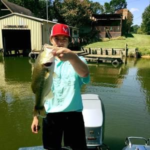 Meet your Posher, Austin